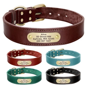 Personalisiert Hundehalsband Echt Leder Halsband Verstellbar mit Namen XXS-XL - Picture 1 of 24