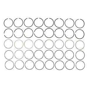 For Ford E-150 Econoline Club Wagon 75-94 Premium Piston Ring Set w Coating - Picture 1 of 1