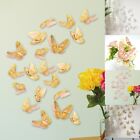 Vibrant 3D Butterfly Stickers for Home Wedding Festival Decor Pack of 20