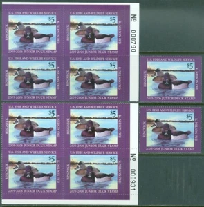 EDW1949SELL : USA 2005 Scott #JDS13. 10 stamps including 2 Plate Blocks - Picture 1 of 2
