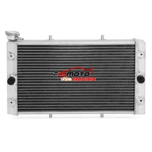 Radiator For Yamaha Viking 700 YXM700 2014-21 YXC700 15-21 Wolverine 700 YXE 700 - Imagen 1 de 8