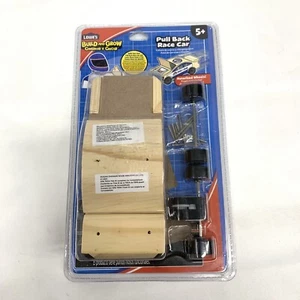 Lowes 65418 Build And Grow, Pull Back Race Car, Project Kit, Wooden Model - Picture 1 of 6