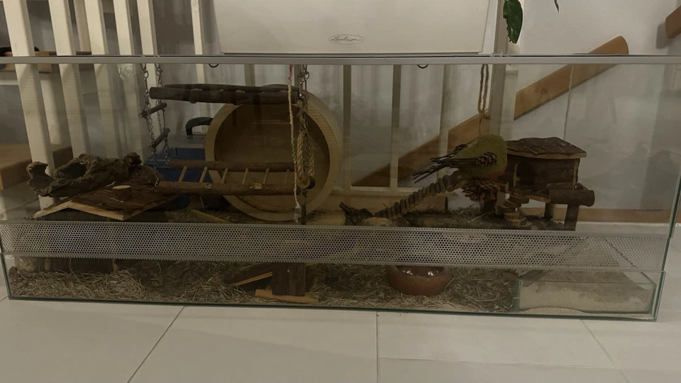 Komplettes Hamster & Kleintiers Set: Käfig mit Zubehör,  100x40x50cm  - Bild 1 von 4