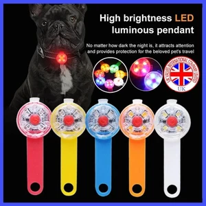 Impermeable Mascota Perro Gato Collar LED Noche Seguridad Clip Etiqueta Luz Luminosa Intermitente - Imagen 1 de 27