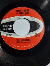 SHIRELLES - WHAT DOES A GIRL DO-Don't let it happen to us -SCEPTER 1963 VG F108