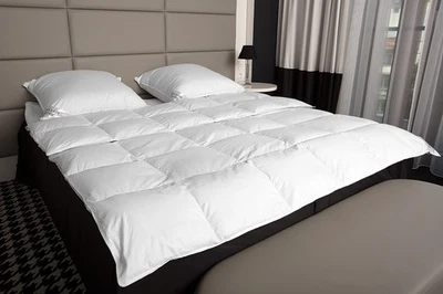 MAYAADI HOME HS75 Down Comforter Duvet Feather Down Blanket 70% Down Summer 200x200 1000g