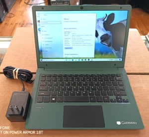 Gateway GWTN116-1GR verde AMD A4-9120e Radeon R3 4 GB 64 GB computer portatile - Foto 1 di 10
