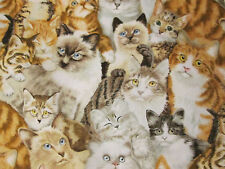 CATS KITTENS REALISTIC PACKED COTTON FABRIC 8 1/2 IN SCRAP CUT