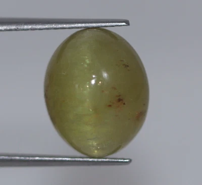 10.58 Ct CERTIFIED Loose Natural Green Cat’s Eye Chrysoberyl Gemstone 13x11 mm - Image 1 of 4