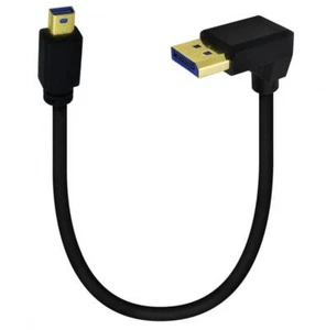 DisplayPort 1.4 8K to Mini DisplayPort Monitor Video Cable 0.3m - Up Angle - Picture 1 of 3