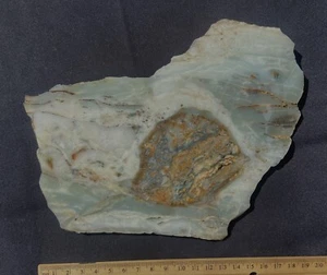 BC Ocean Picture Stone Huge Slab Crashing Waves 11.2 Ounces - 318 Grams - Picture 1 of 8