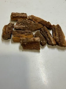 DIEZ PEQUEÑOS EJEMPLARES DE MADERA PETRIFICADA CON CRISTALES - Imagen 1 de 5