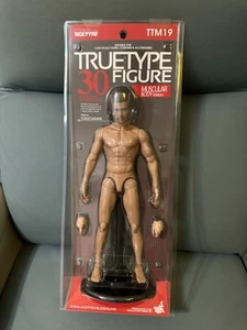Hot Toys TTM19 TTM-19 TrueType True Type Figura Cuerpo Caucásico Masculino Muscular - Imagen 1 de 3