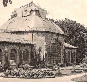 Antikes RPPC Gewächshaus Botanischer Garten Metz Frankreich um 1903 - Bild 1 von 3