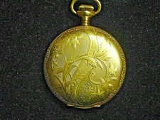 Elgin hunter