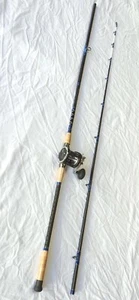 Pro Catfish Long Casting Combo 11' 2PC Rod/ 3BB Cast Reel - Picture 1 of 12