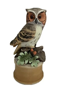 Shafford Owl on Branch Music Box 7.5" - Picture 1 of 5