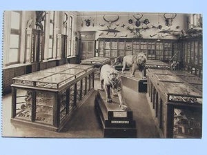 06D32 Cartolina Belgium - Tournai - Froyennes Passy - Pensionnat - Picture 1 of 2