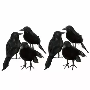 6er-Set Schwarz Taubenschreck Krähe Rabe Taubenabwehr Vogelschreck Lockvogel DE - Bild 1 von 6