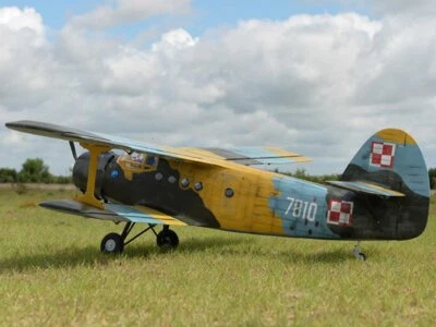 Black Horse - Antonov AN-2 Doppeldecker - 2425mm - Bild 1 von 4