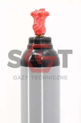 SGTGAZ Stickstoff Gasflasche 8L 200 bar – volle neue Stickstoffflasche 99,998 %