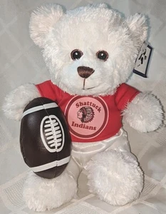 Steven Smith 900KR CIDCO Shattuck Indians 9 Inch Football Bear - Imagen 1 de 6