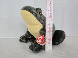 Ty Beanie Buddy Ponder the Frog W/Hang Tag FREE SHIPPING - Picture 1 of 7