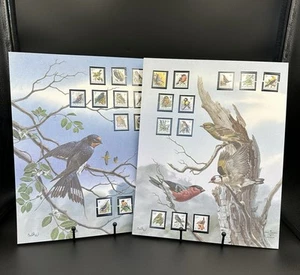 Mint Stamps of The World BIRDS OF BELGIUM Lg Card w/24 Stamps MNH - Picture 1 of 5