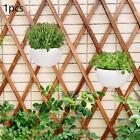 Wall Planter Plant Hanger Self Watering Pot Hanging For Home Wall Decoration