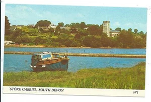 DEVON - STOKE GABRIEL  Willson Postcard - Picture 1 of 1