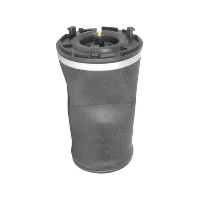 For 2002-2009 Chevrolet Trailblazer Air Suspension Spring Rear Unity 2003 2004 - Image 1 of 2