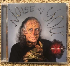 DAVID GARLAND - Noise In Your - CD - - Picture 1 of 2