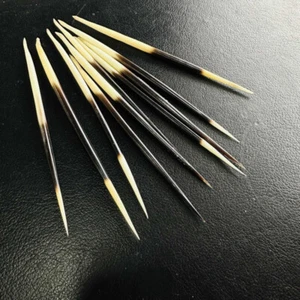 5 pezzi penne di porcospino lunghezza spina circa 15 cm (5,9 pollici) - Foto 1 di 5