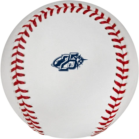 Tampa Bay Rays 25th Anniversary Rawlings Unsigned Logo Baseball with Case Cover
