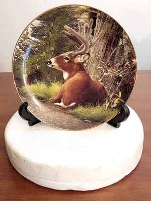 Danbury Mint SUMMER VELVET Pride of the Wilderness DEER PLATE Bob Travers MIB - Image 1 of 3