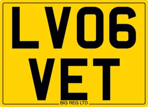 ๐ LOVES LV06 VET VETERINARY PET DOG CAT BMW AUDI PRIVATE REGISTRATION NUMBER - Picture 1 of 5