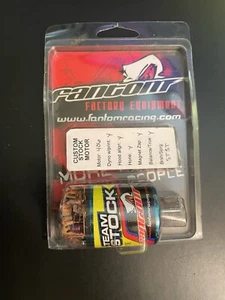 SUPER RARE Fantom Custom Stock Motor Dyno Tuned By Factory Sponsored Driver Only - Picture 1 of 4
