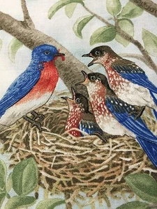 Fabric Bird Quilt Square 4.75" x 6" Cotton Mom Bird Babies ELIZABETH Qty 1 - Picture 1 of 2