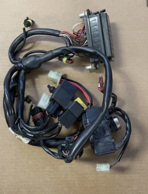 99-03 ducati 996 s OEM MAIN ENGINE WIRING HARNESS MOTOR WIRE LOOM MONOPOSTO - Image 1 of 4