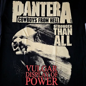 ENVÍO GRATUITO EL MISMO DÍA CLÁSICO PANTERA VULGAR DISPLAY COWBOYS FROM HELL XL - Imagen 1 de 2