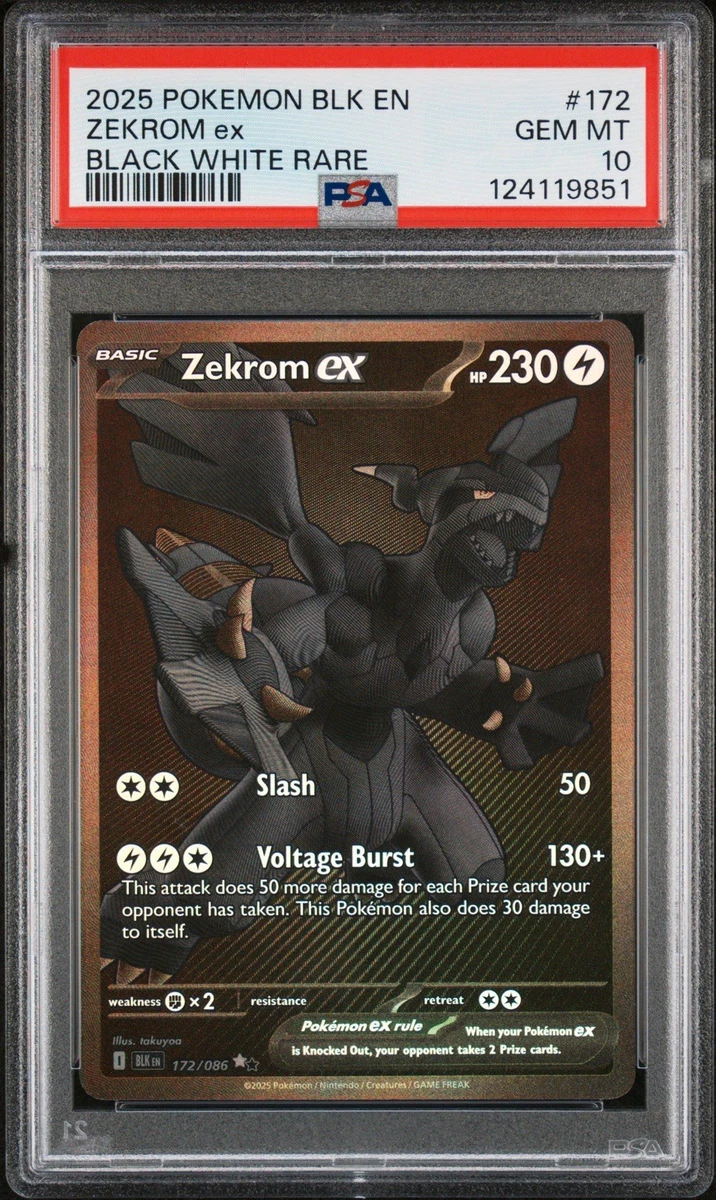 Zekrom Ex Pokémon TCG Collectible Card Games & Accessories