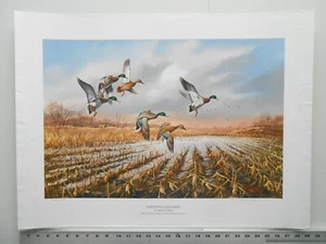 James Killen HAWKEYE MALLARD Edición Limitada Impresión 482/950 Iowa DU Impresión del Año83 - Imagen 1 de 8