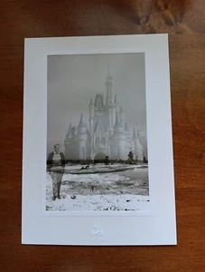 Walt Disney/Castillo de Cenicienta Sueño 5x7 Postal B&W Doble Exposición NUEVO Raro - Imagen 1 de 7
