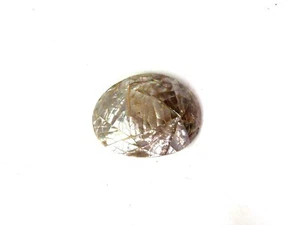 Vintage Charmant Belts Inc Beverly Hills Abalone Shell Wood Belt Buckle - Picture 1 of 3