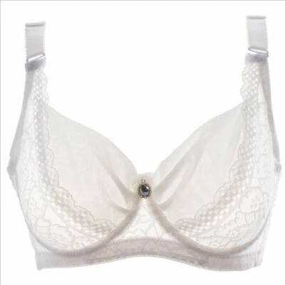 Sujetador push up de encaje fino con aros para mujer 34 36 38 40 42 44 copa talla B C D Foto 1 de 4