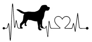 Pegatina para perro Labrador Heartbeat 2 piezas JDM Decal Auto Sticker 17,8 x 8 cm - Imagen 1 de 3
