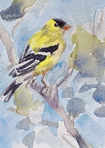 original watercolor painting ACEO yellow finch bird on tree wildlife nature SIBY - Picture 1 of 3