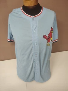 Jack Flaherty #27 Memphis Redbirds Light Blue Large Adult MiLB Baseball Jersey - Picture 1 of 8