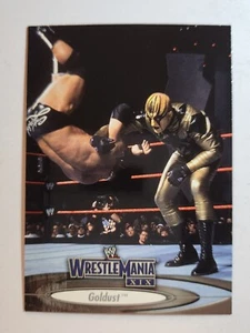 2003 Fleer WWE WrestleMania XIX #23 GOLDUST - Picture 1 of 2