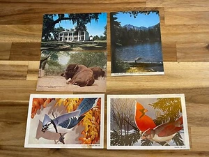 Lot of 5 Vintage Travel Postcards Vintage Birds 1960 Ephemera - Picture 1 of 11